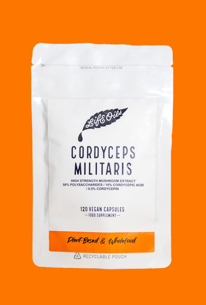 Cordyceps Militaris - Image 3